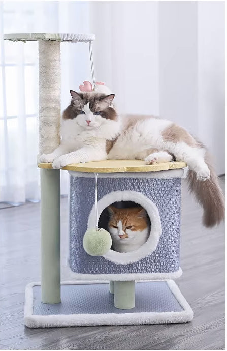 Arbre à chat bleu - Chat-astrophique