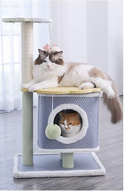 Arbre à chat bleu - Chat-astrophique