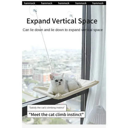 Arbre a chat mural - Fenêtre - Hamac